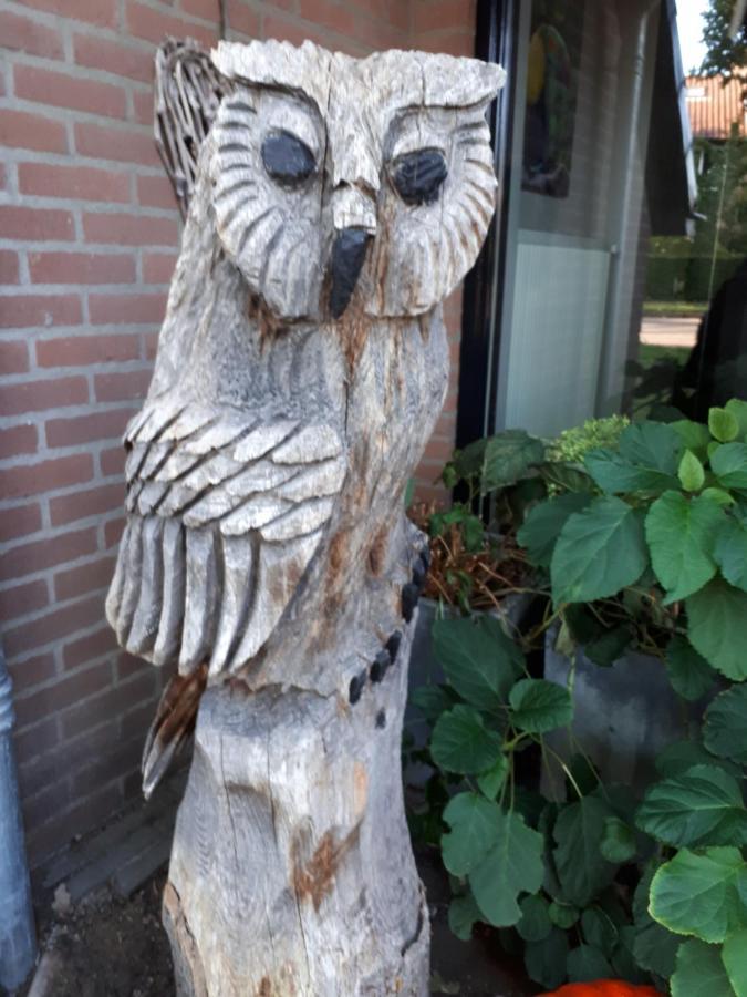 Bed En Breakfast Het Oelenest Hooghalen Exterior foto